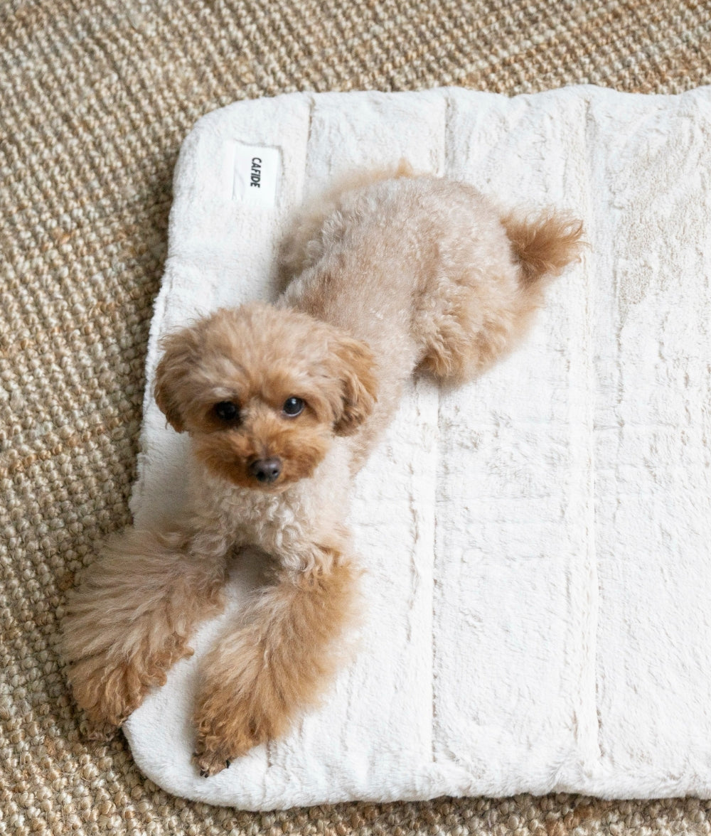 Cama Portátil Perro Pelo Beige, Leila