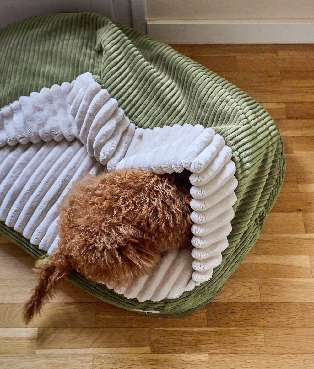 Cama Perro con Capucha Pana Verde, Maso