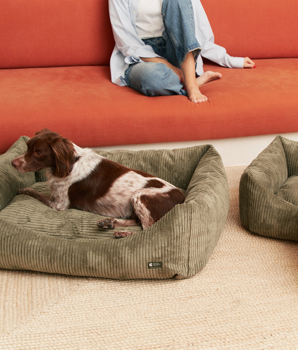 Cama Perro Pana Verde, Snozy