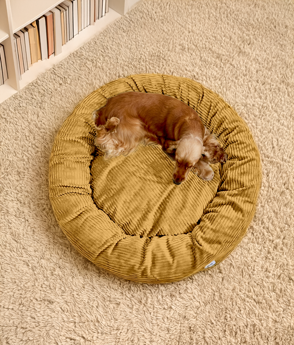 Cama Perro Pana Mostaza, Nuba