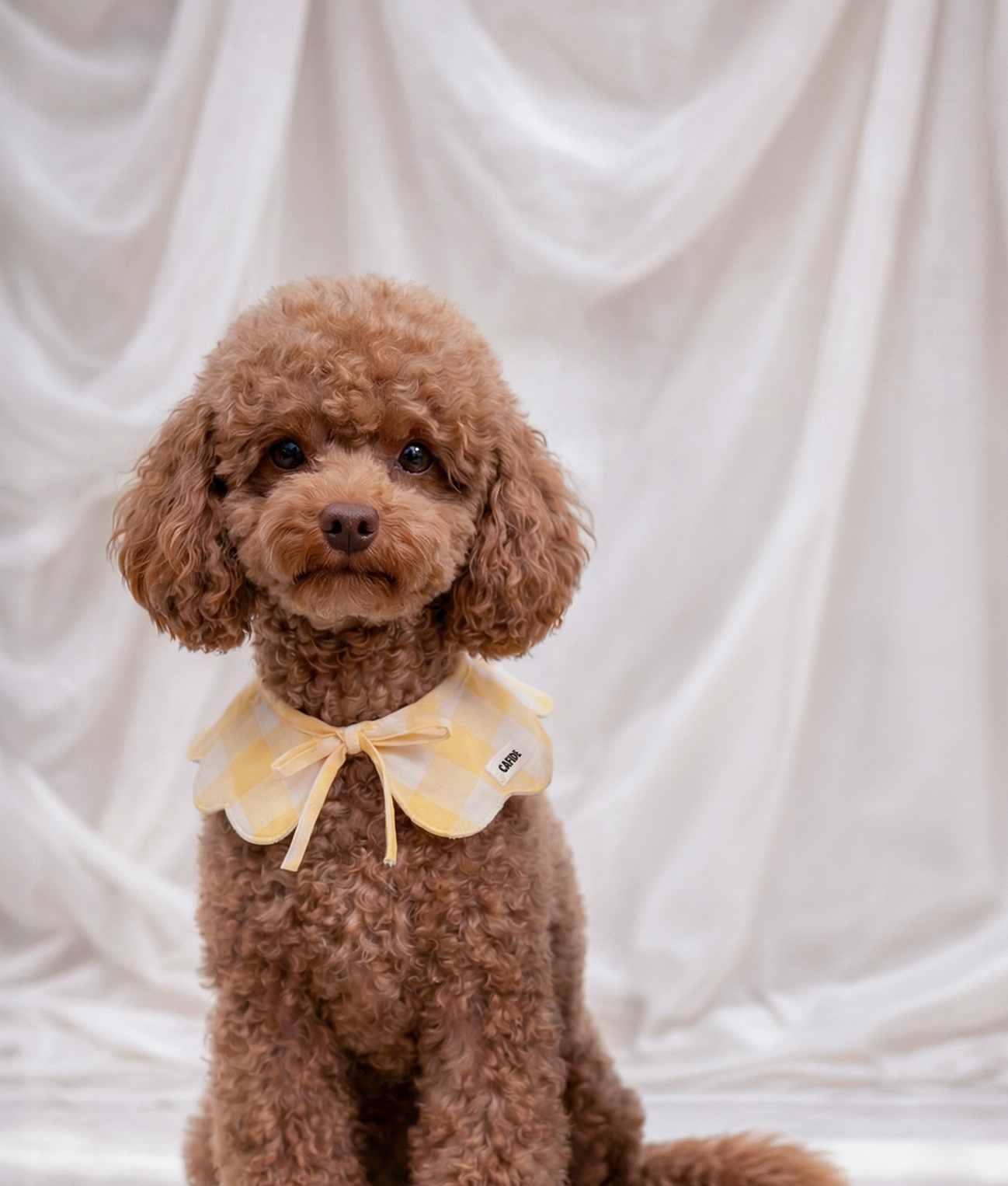 Bandana Estilo Cuello Perro Diseño Vichy Amarillo, Lola